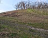 Gr�nland Waigolshausen  Gro�e Anzahl aktueller Bauernh�user, Bauernh�fe, Reiterh�fe, alte M�hlen - hier finden auch Sie IHR Bauernhaus, Bauernhof, Reiterhof oder alte M�hle!